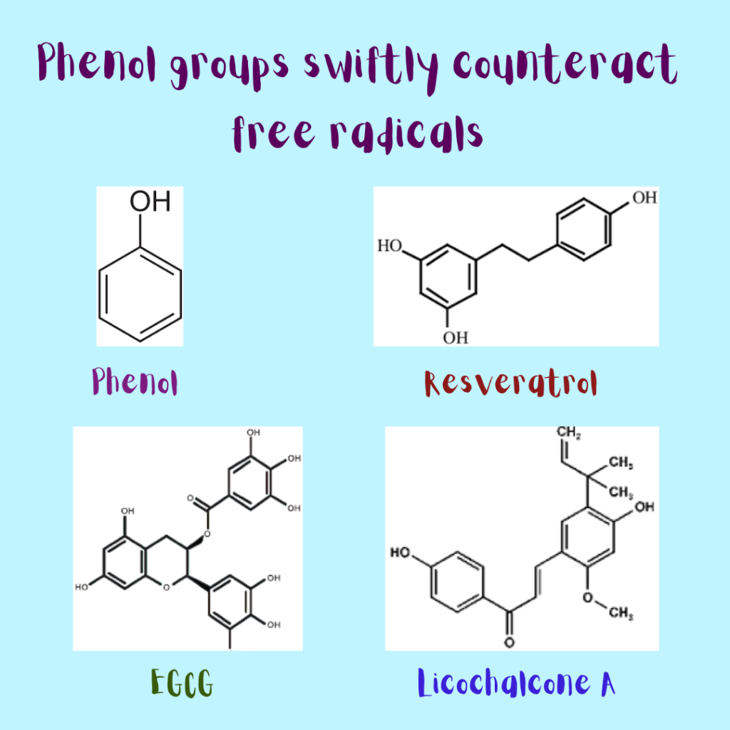 Phenol groups of polyphenols swiftly counteract free radicals.