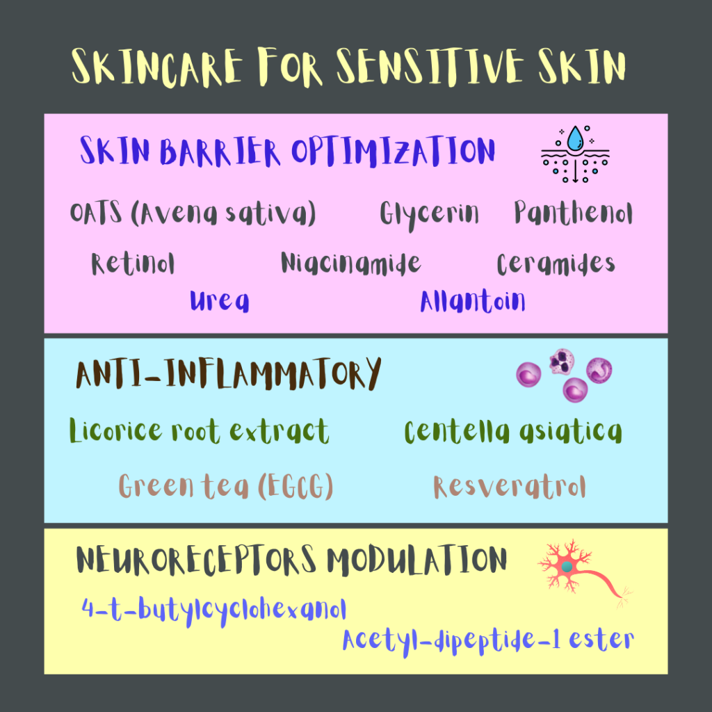 Skincare ingredients for sensitive skin (table including all the listed within this post): they optimize the epidermal barrier, are anti-inflammatory, or diminish the activation of sensorial receptors.
