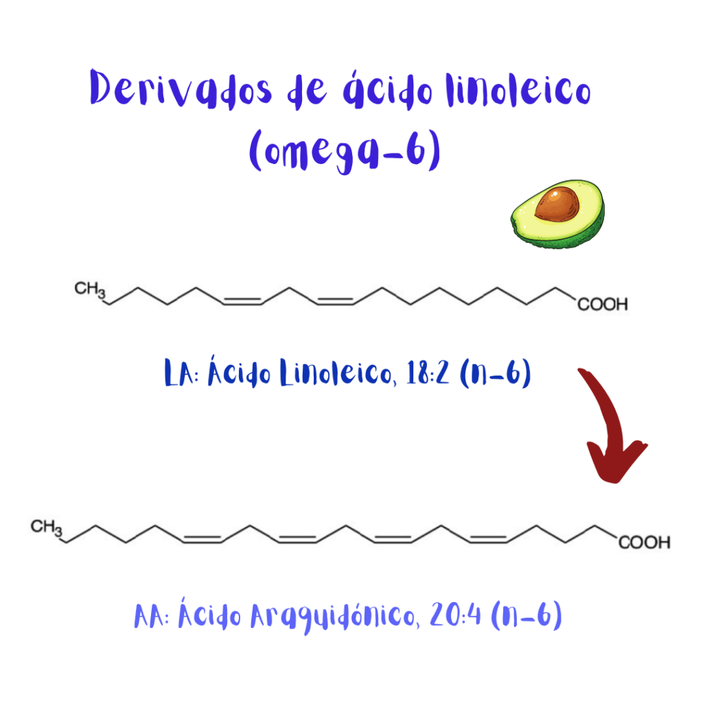Ácido graso esencial omega-6 (ácido linolénico) y sus derivados, ácido gamma-linoleico (GLA) y ácido araquidónico (AA).